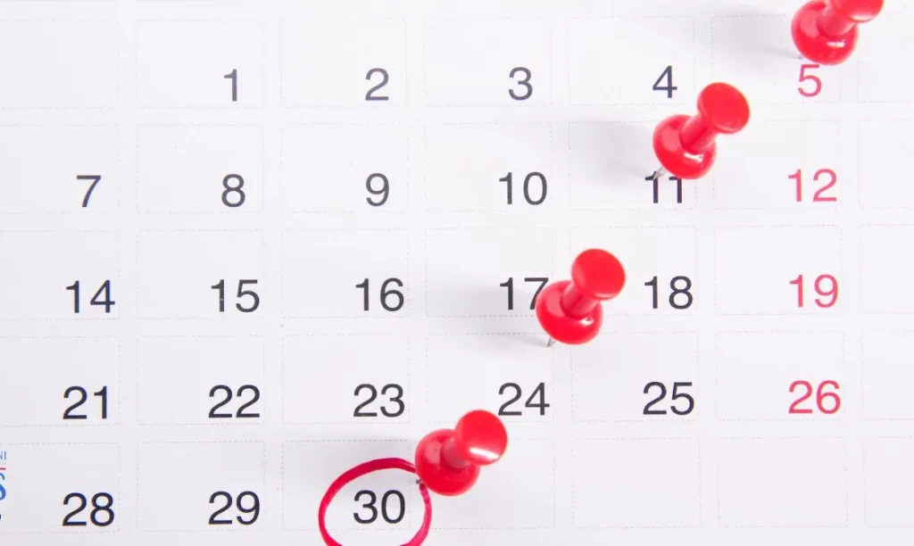 Carta Dedicata a te 2026